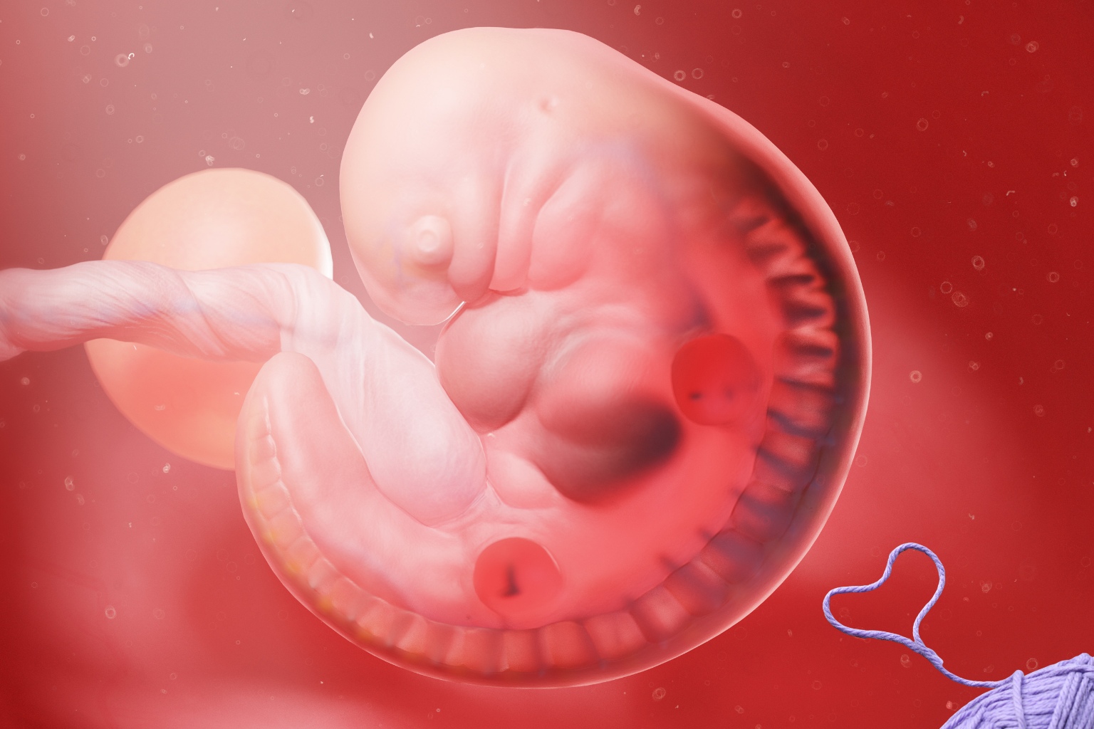 Spermatorrhea – Wellness Guidance