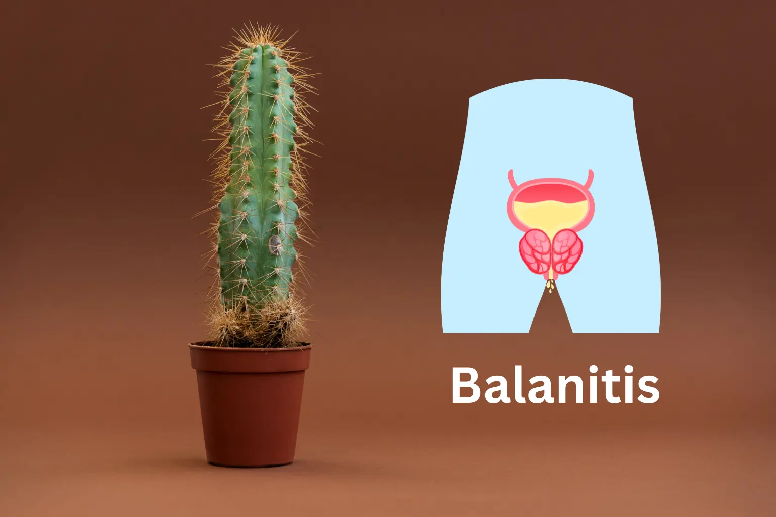 Balanitis – Male Health Care Guidance