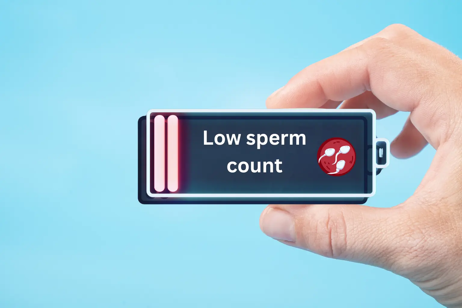 Low Sperm Count – Ayurvedic Wellness Support